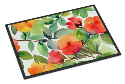 NEW Connecticut Mountain Laurels in Watercolor Doormat Front Door Mat Indoor Outdoor Rugs for Entryway, Non Slip Washable Low Pile, 18H X 27W