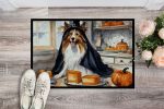 NEW Sheltie Fall Kitchen Pumpkins Doormat Front Door Mat Indoor Outdoor Rugs for Entryway, Non Slip Washable Low Pile, 18H X 27W