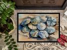 Sand Dollars Doormat Front Door Mat Indoor Outdoor Rugs for Entryway, Non Slip Washable Low Pile, 24H X 36W